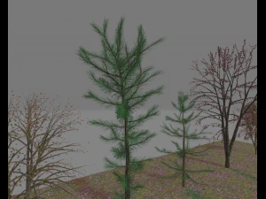 paquete7tree Modelo 3D