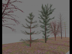 paquete7tree Modelo 3D