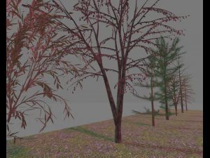 paquete7tree Modelo 3D