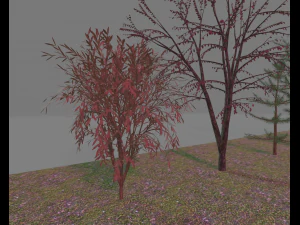 paquete7tree Modelo 3D