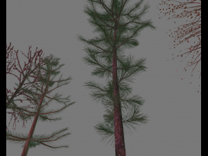 pack7tree 3D 模型
