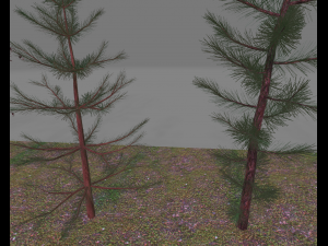 pack7tree 3D 模型
