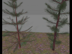 paquete7tree Modelo 3D