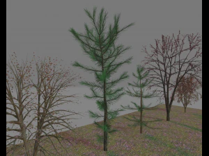paquete7tree Modelo 3D