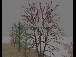 pack7tree 3D 模型