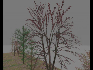 paquete7tree Modelo 3D
