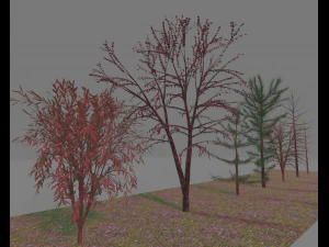 paquete7tree Modelo 3D