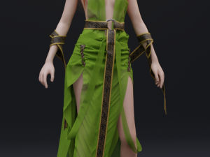 elven dress Modèle 3D