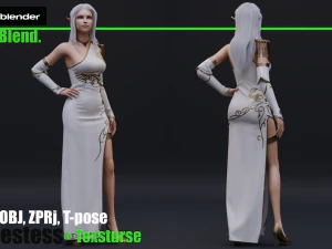 elf priestess 3D Model