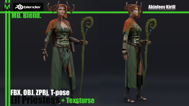 elf priestess 2 3D Model .c4d .max .obj .3ds .fbx .stl .blend 