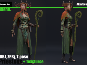 elf priestess 2 3D 模型