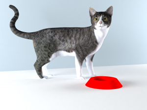 FOOD BOWL Plastic Bowl For Cat And Dog 3D Print Model