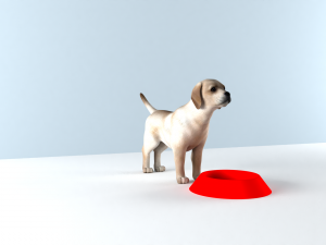FOOD BOWL Plastic Bowl For Cat And Dog 3D 프린트 모델