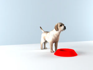 FOOD BOWL Tigela de pl&aacute;stico para gato e cachorro Modelo de Impressão 3D