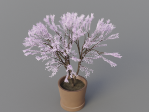 -Japanese tree Modelo 3D