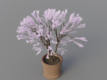 -Japanese tree 3D Models
