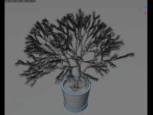 -Japanese tree 3D Model