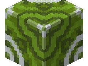 minecraft glazed terracottas 3Dモデル
