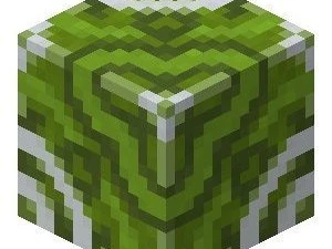 Minecraft Glazed Terracottas 3D Model