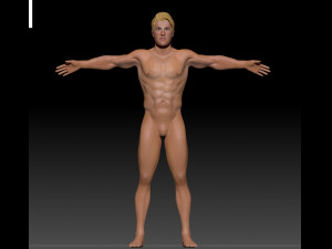 male body base for sculpting 3D मॉडल