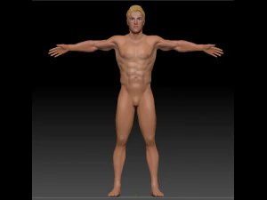 m&auml;nnliche K&ouml;rperbasis zum Modellieren 3D Modell