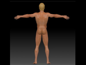 male body base for sculpting 3D मॉडल