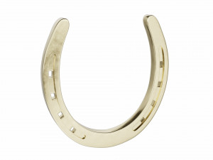 horseshoe 3D Model
