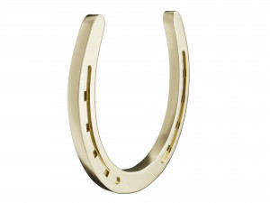 horseshoe Modello 3D