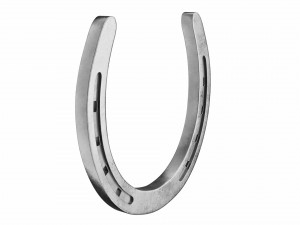 horseshoe Modello 3D