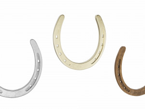 horseshoe Modello 3D