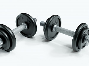 dumbbell 3D Model