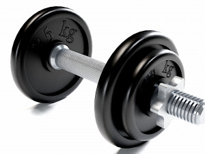 dumbbell 3D Model