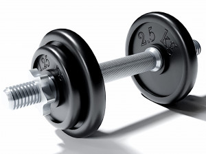 dumbbell 3D Model