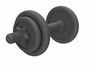 dumbbell 3D Model