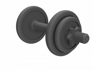 dumbbell 3D Model