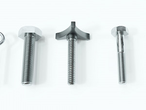 Collection of 21 bolts and screws 3D Model