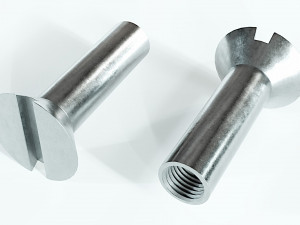 Collection of 21 bolts and screws 3D Model