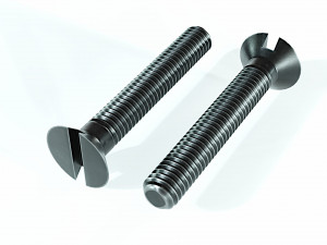 Collection of 21 bolts and screws 3D Model