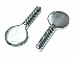 Collection of 21 bolts and screws 3D Model