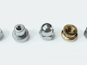 Kolekcja 15 orzech&oacute;w Model 3D