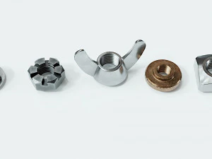 Kolekcja 15 orzech&oacute;w Model 3D