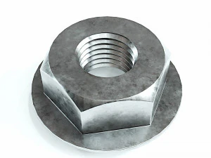 Kolekcja 15 orzech&oacute;w Model 3D