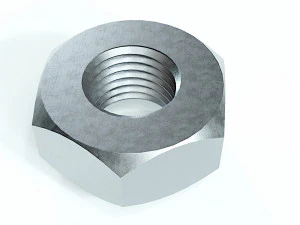 Kolekcja 15 orzech&oacute;w Model 3D