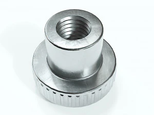 Kolekcja 15 orzech&oacute;w Model 3D