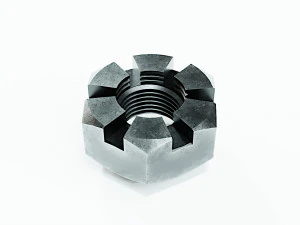 Kolekcja 15 orzech&oacute;w Model 3D