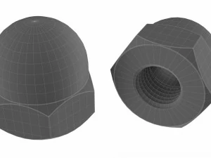 Kolekcja 15 orzech&oacute;w Model 3D