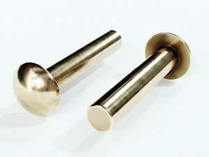 Collection of 21 rivets pins studs and washers 3D Model