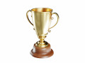 Award cup 3D Models