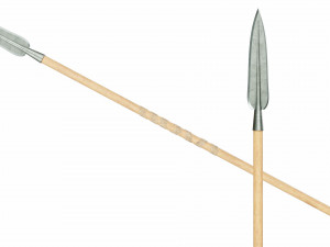 Spear with leaf shaped tip 3D Model
