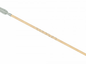 Spear with leaf shaped tip Modello 3D